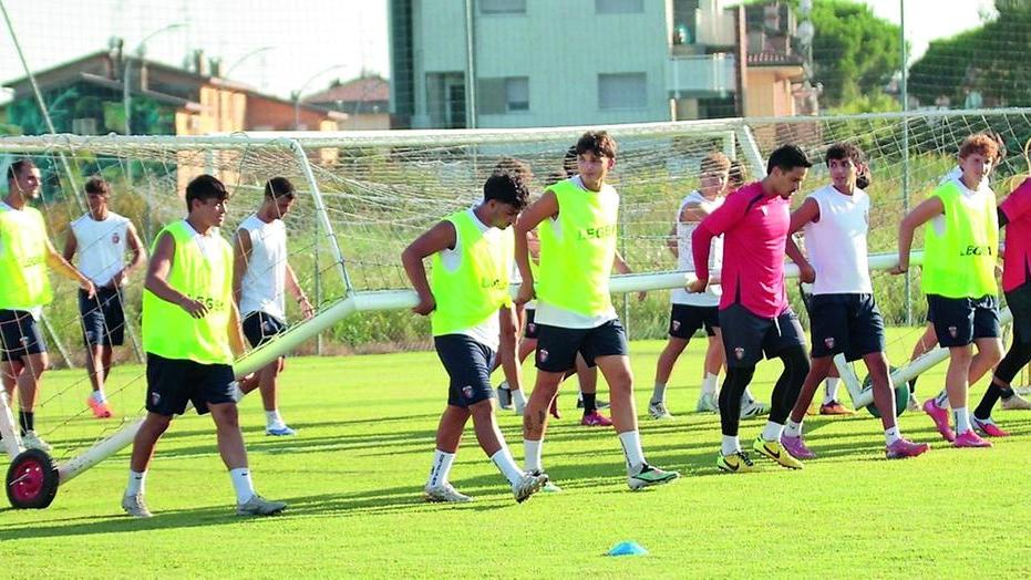 La Comacchiese riparte da mister Masolini