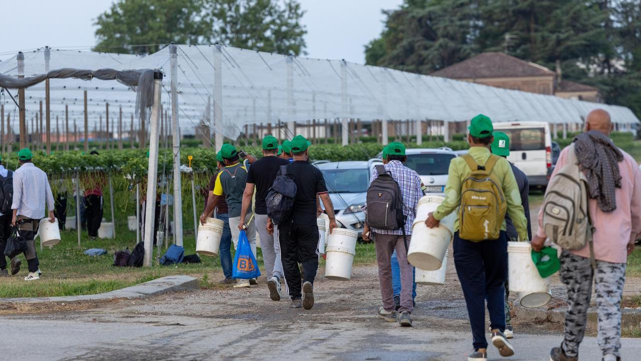 Portomaggiore, cassette postali contro il caporalato