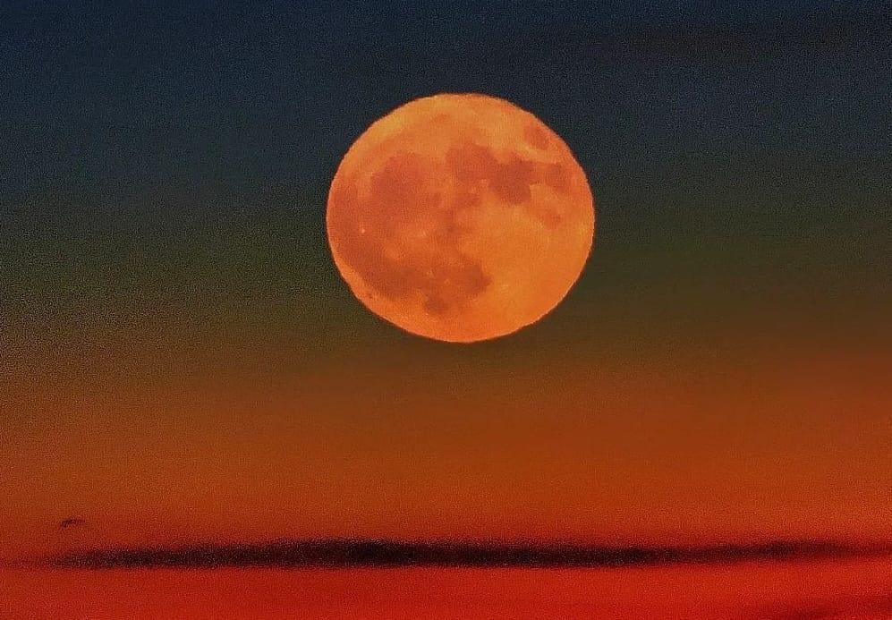 Non solo eclissi: stasera occhi puntati sulla “Luna del Cervo” – Come vederla