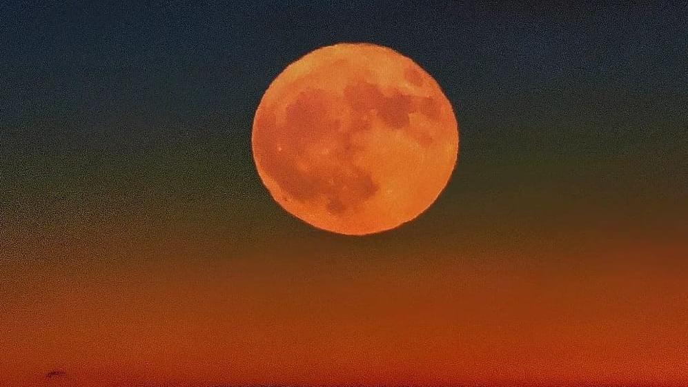 Non solo eclissi: stasera occhi puntati sulla “Luna del Cervo” – Come vederla