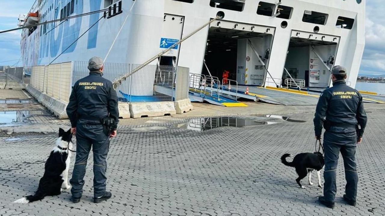 Sbarca a Porto Torres con 20 ovuli di eroina in corpo: arrestato