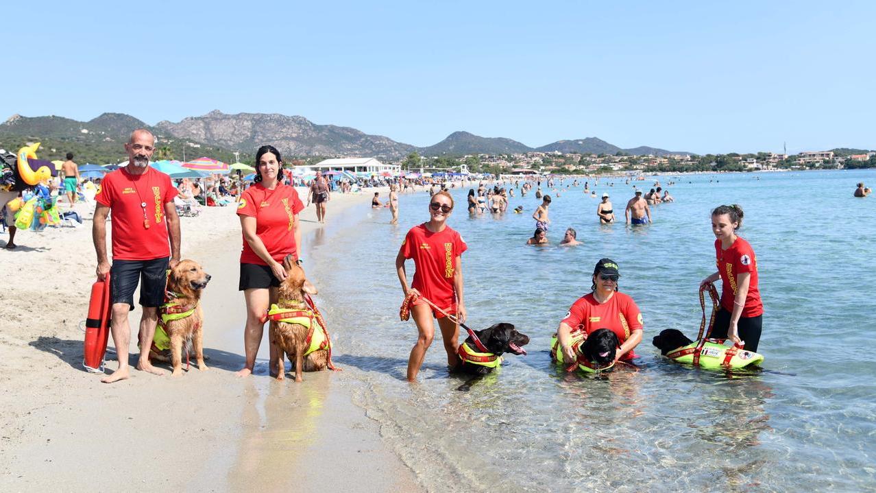 Salvataggi a mare, con i cani bagnino spiagge più sicure: «Si tuffano a comando ma per loro è un gioco»