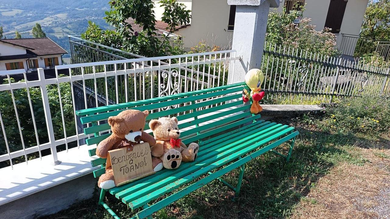 Toano, la panchina dei peluche si allarga: ecco Teddy, Titti, Leo e leoncino