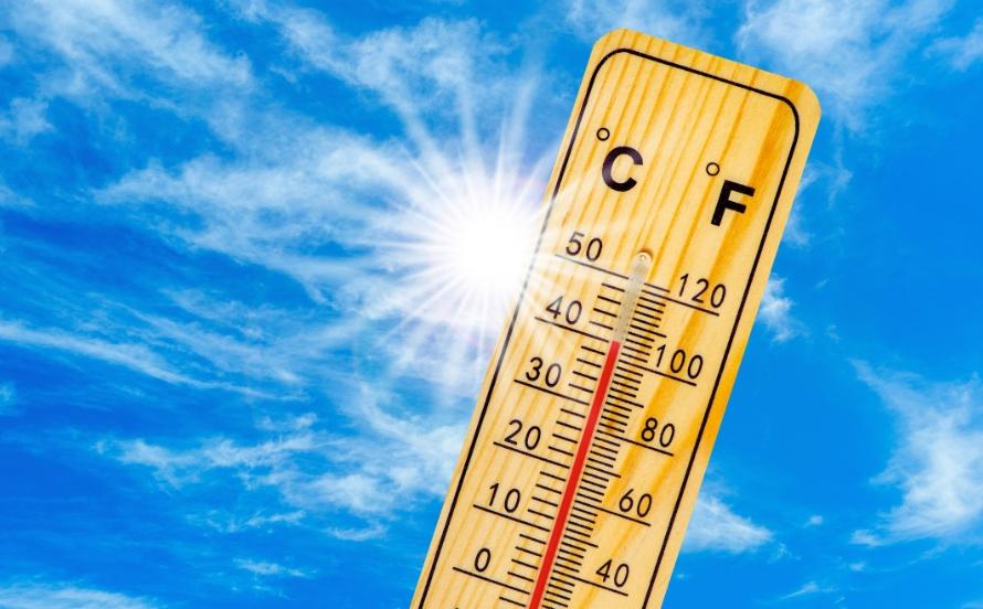 
	Caldo, superati i 40&deg; C a Modena

