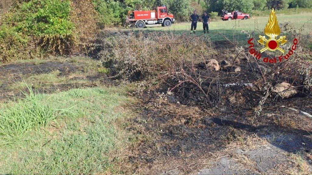 Altopascio, incendio vicino a un maneggio: animali messi in sicurezza