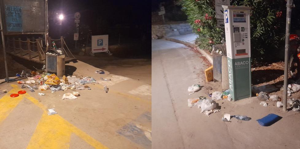 Elba, cinghiali tra i turisti a Fetovaia: i pericoli a pochi metri dalla famosa spiaggia