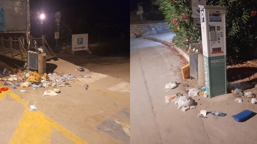 Elba, cinghiali tra i turisti a Fetovaia: i pericoli a pochi metri dalla famosa spiaggia