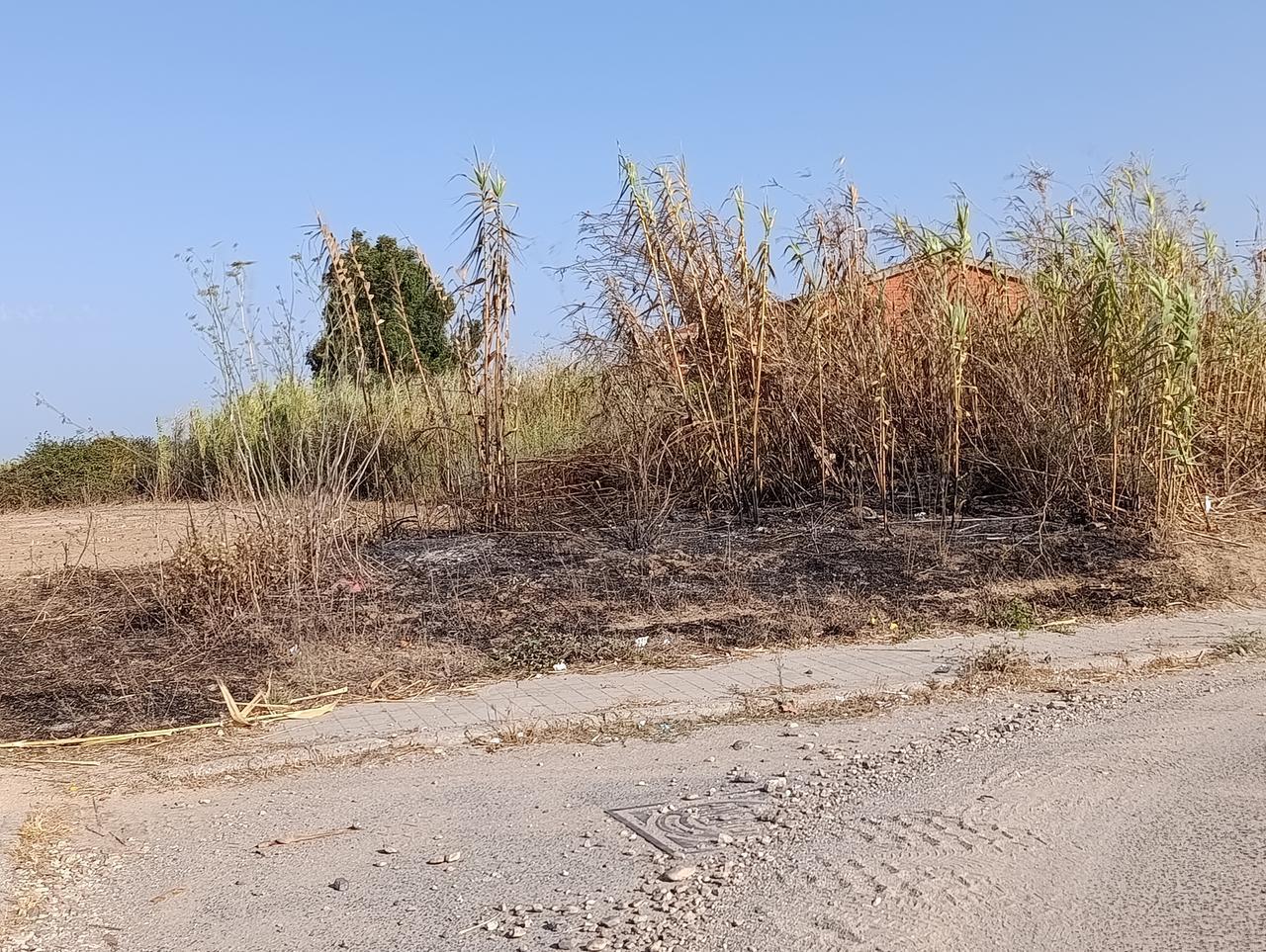 Incendio in un canneto a Cabras, le fiamme vanno vicino alle case: interviene l'elicottero