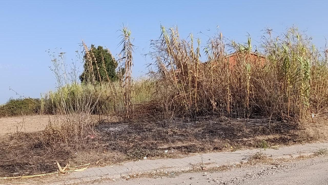 Paura a Cabras, l’incendio divampa in un canneto e minaccia le abitazioni: interviene l'elicottero