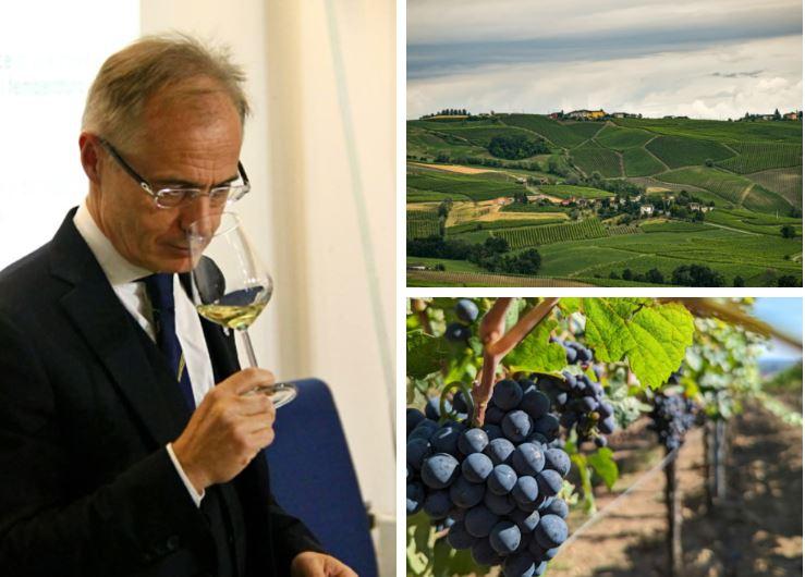 La sfida di Bruno Ferrari, far nascere un vigneto nelle colline tra Toano e Monzone