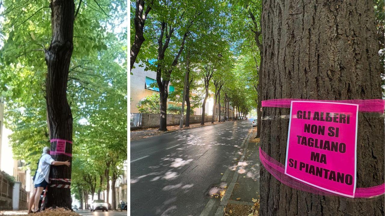 
	Una visuale del viale Mameli e il cartello su un albero (Foto Stick). A sinistra un cittadino abbraccia

