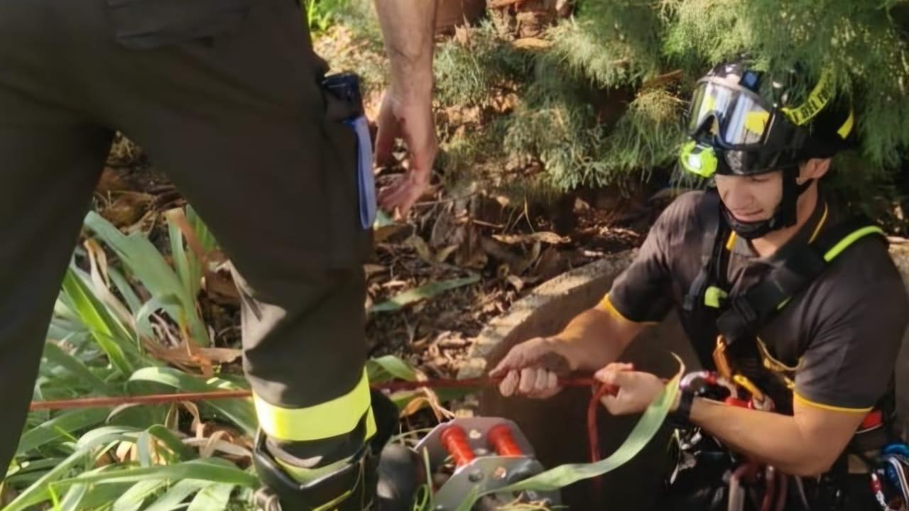 I vigili del fuoco hanno recuperato una cagnolina caduta in un pozzo a Montemurlo