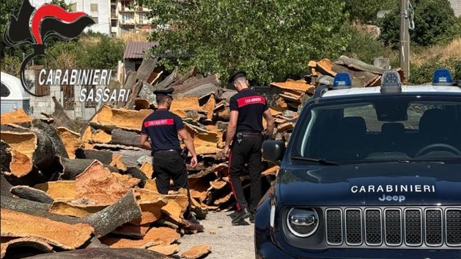 Nel capannone il sughero rubato dai terreni comunali, il proprietario scoperto e denunciato