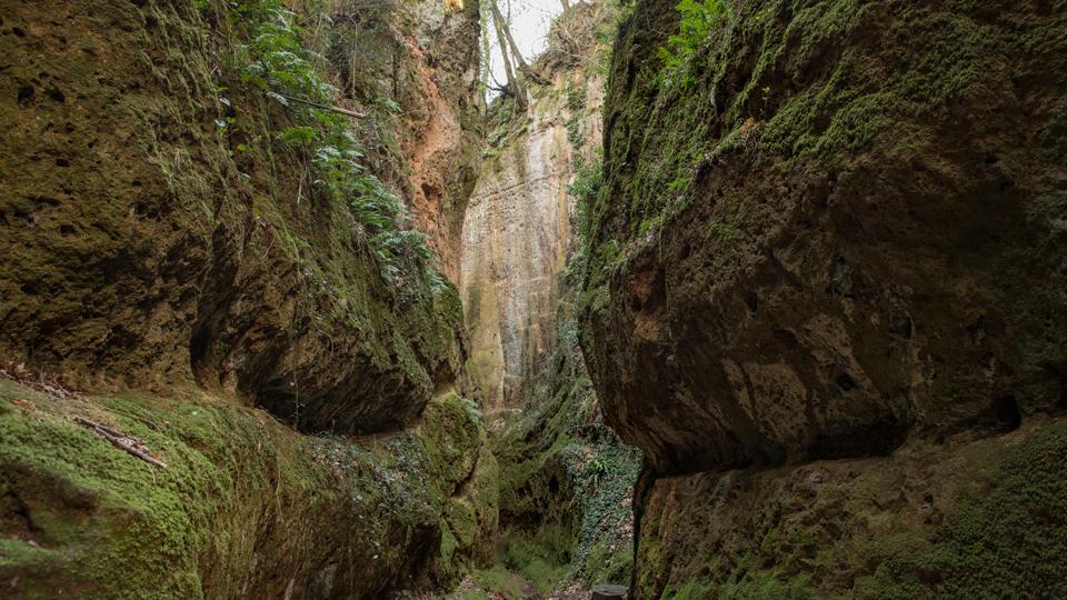 Parco Archeologico "Città del Tufo", Vitozza e la Roccaccia