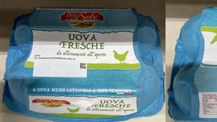 Rischio salmonella, il ministero richiama un lotto di uova: ecco quale