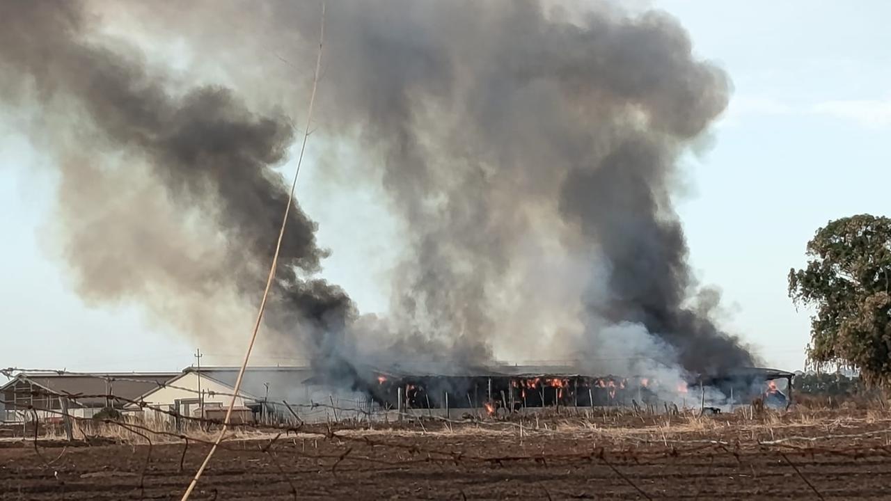 Fienile in fiamme nell’area industriale, i danni sono ingenti – Ecco che cosa sappiamo