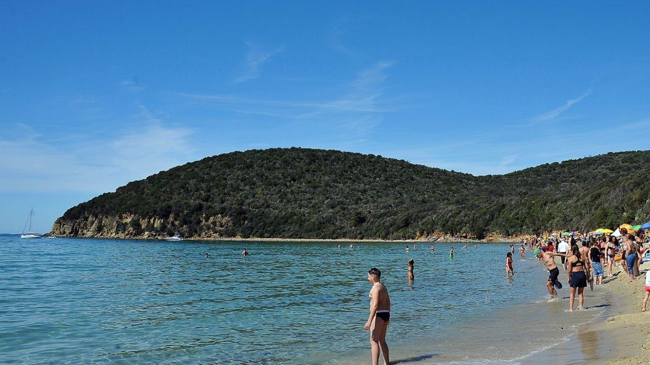 
	Cala Violina

