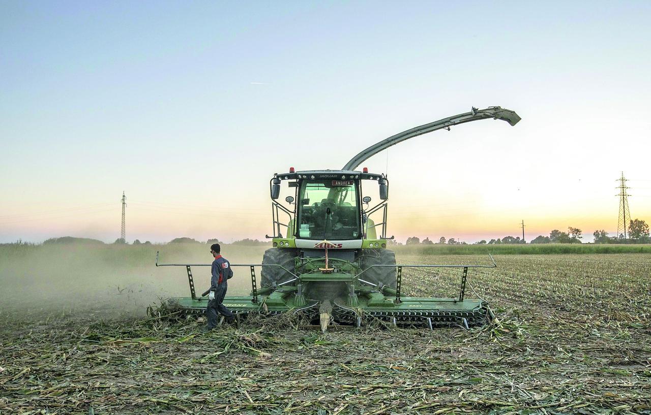 Caldo record nell’isola, l’agricoltura è ko: «I ristori non bastano»
