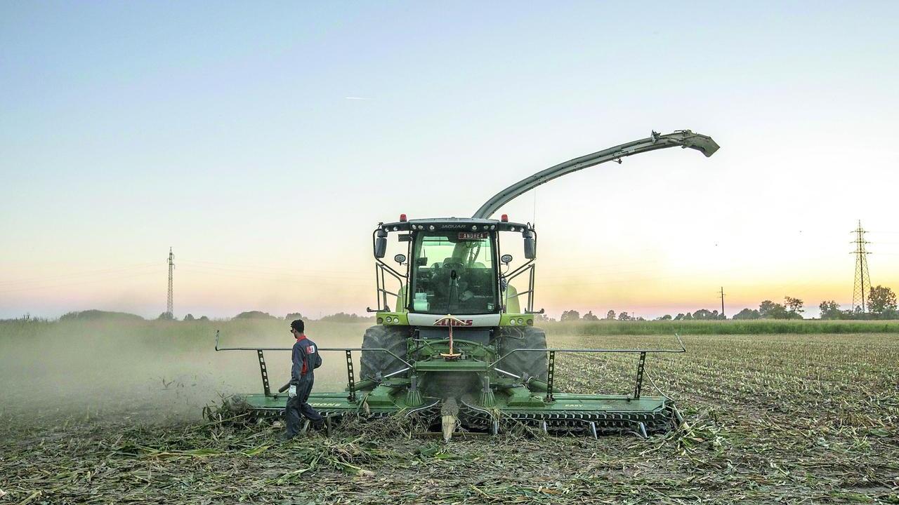 Caldo record nell’isola, l’agricoltura è ko: «I ristori non bastano»