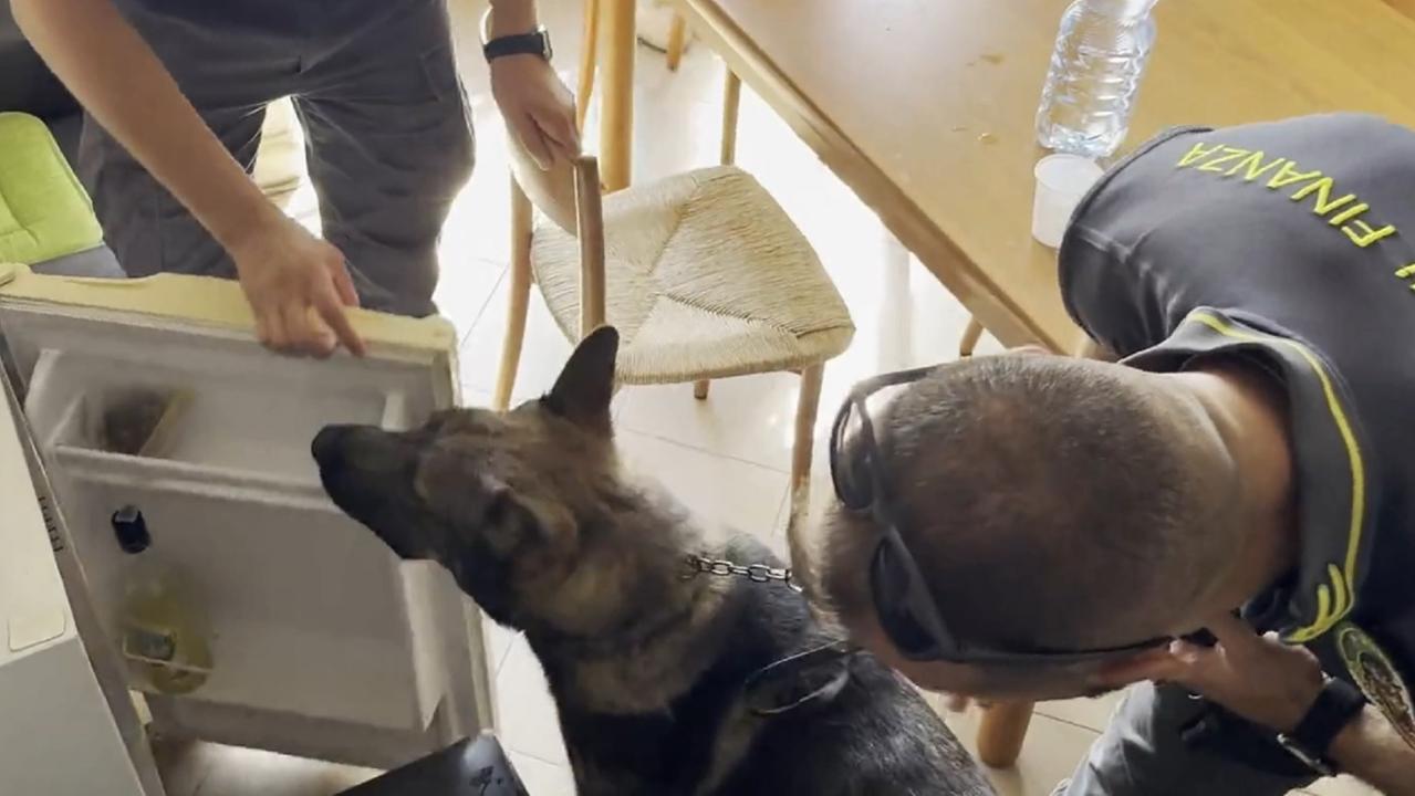 Il cane antidroga della guardia di finanza in uno degli appartamenti perquisiti
