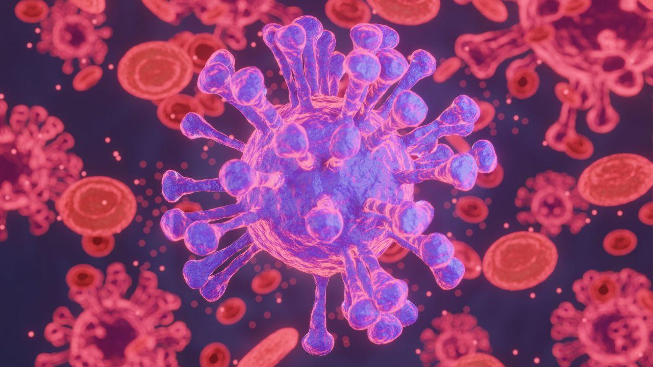 Melanoma, scoperto perché alcune cellule tumorali riescono a “nascondersi” dal sistema immunitario
