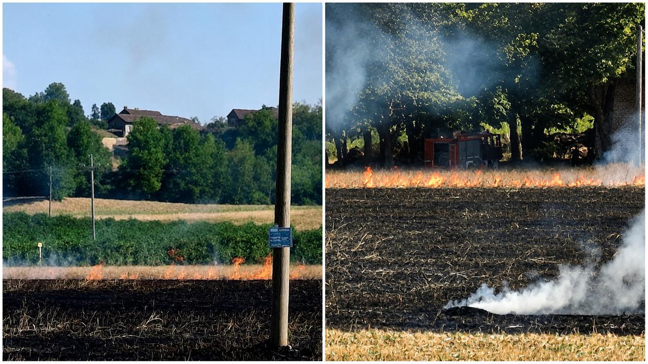 Incendio nei campi a Castelvetro: «È doloso, causato da un piromane»