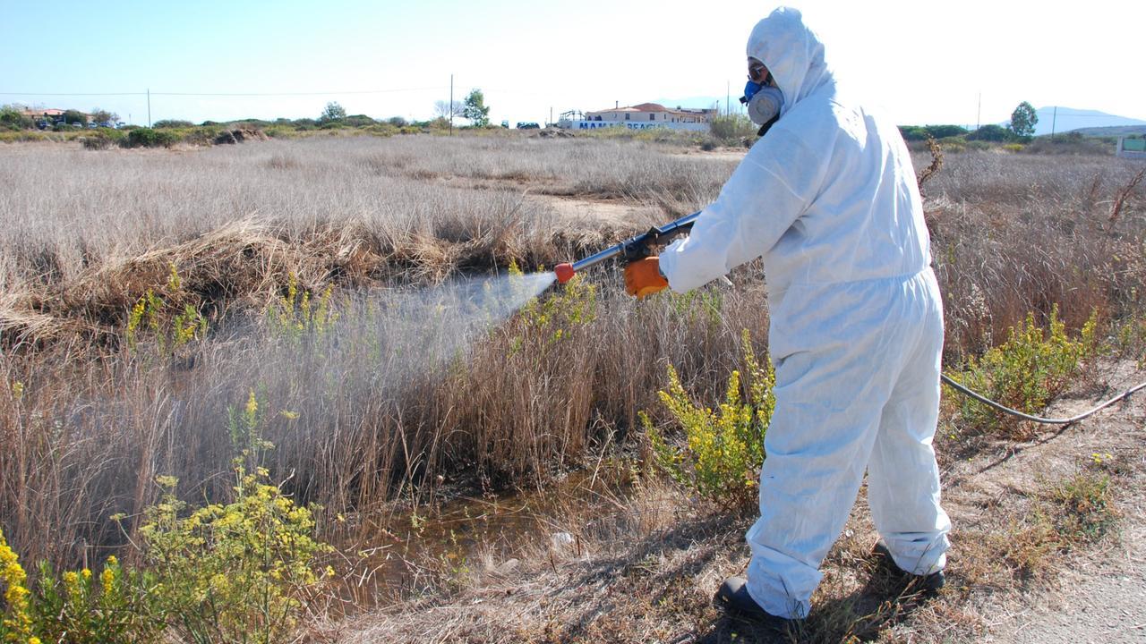 Febbre del Nilo, i casi salgono a sette, al via la disinfestazione: fasce orarie e precauzioni