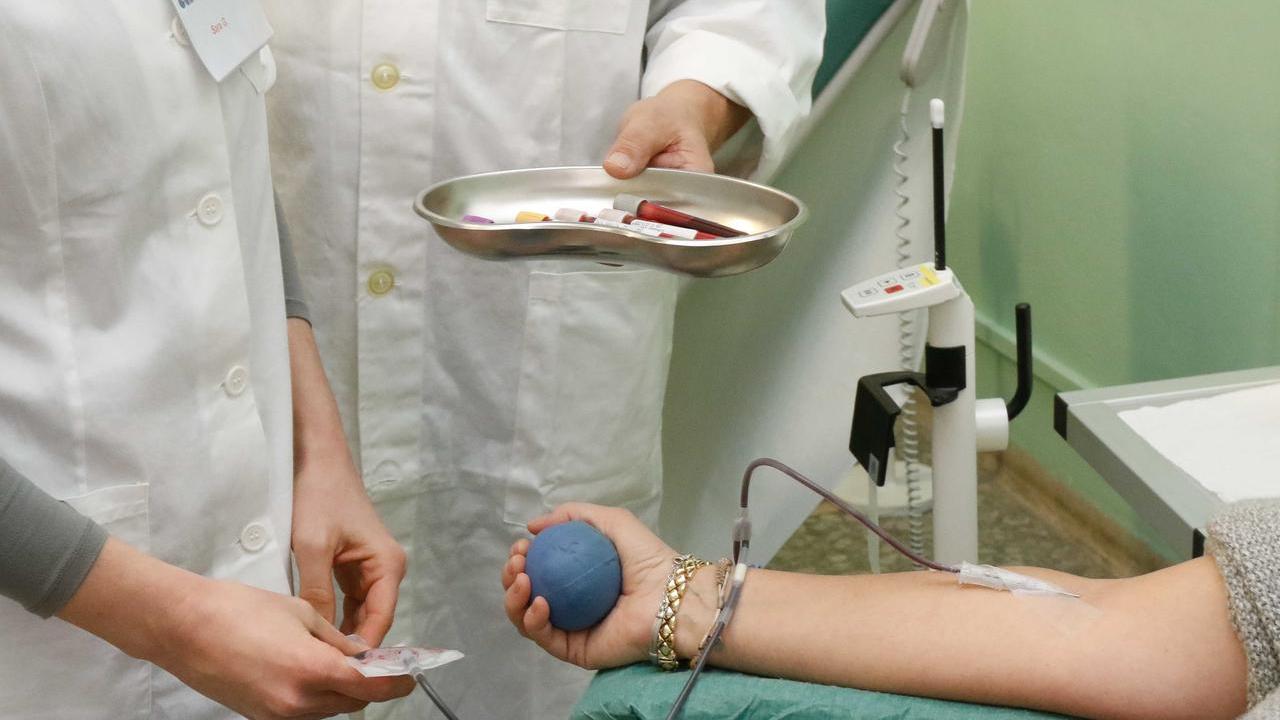 Appello alla donazione del sangue a Pisa (foto d'archivio)