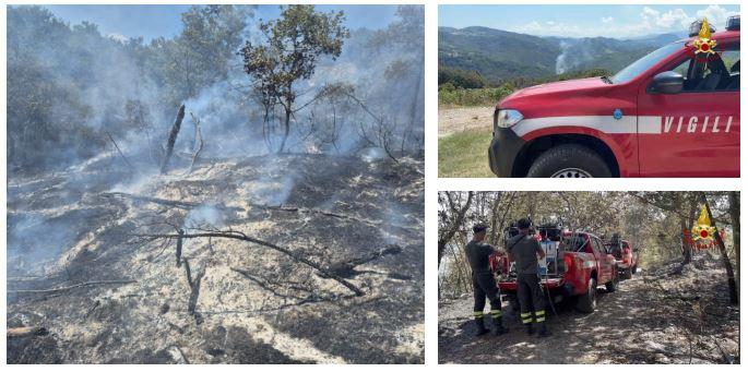 Incendio a Vedriano, la situazione migliora: droni con termocamera per individuare focolai attivi – Gli aggiornamenti