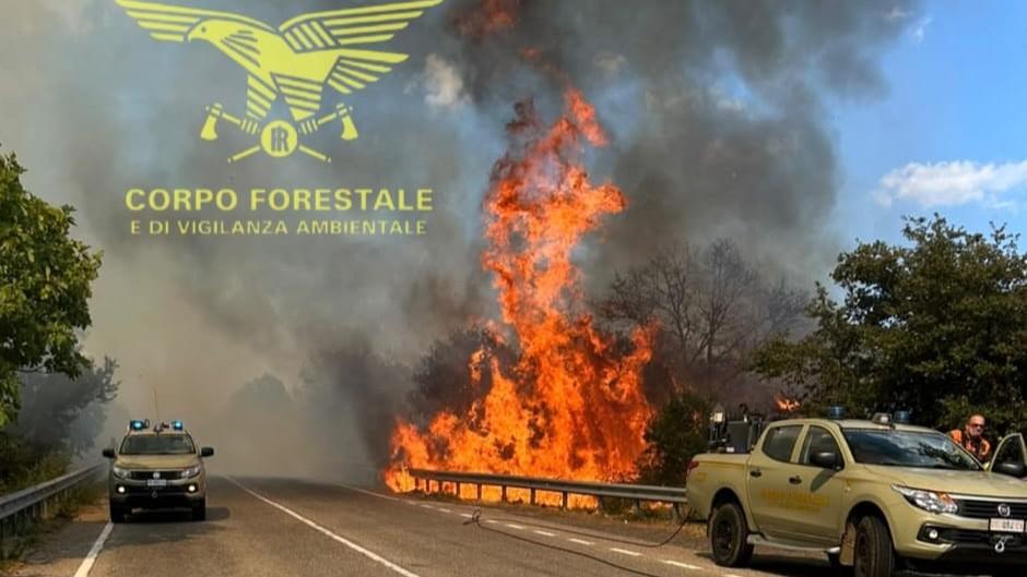 Paura sulla provinciale, auto prende fuoco in mezzo alla strada e innesca uno spaventoso incendio