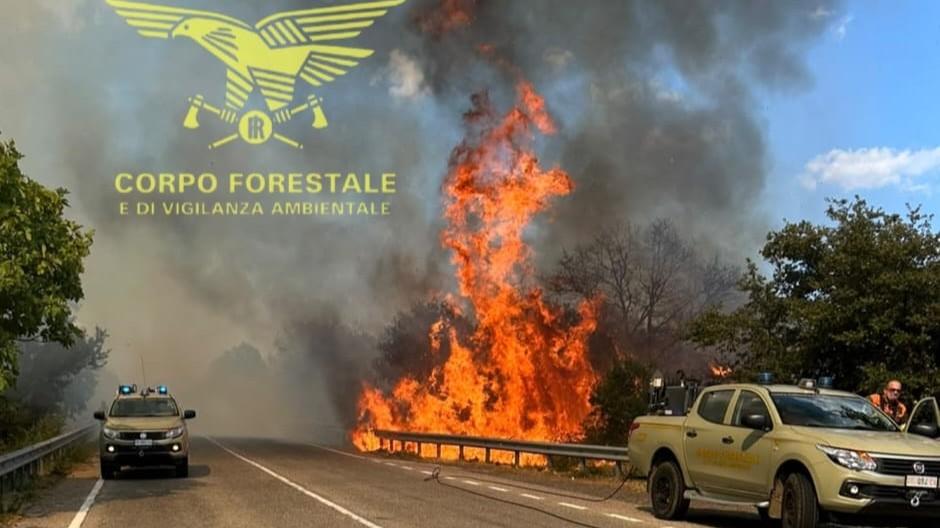 Paura sulla provinciale, auto prende fuoco in mezzo alla strada e innesca uno spaventoso incendio