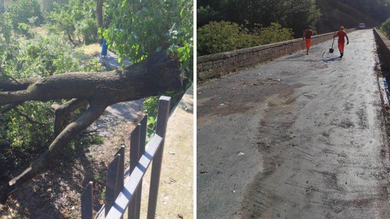 L’albero caduto a Roccalbegna, a dx fango e detriti sul ponte sul Meleta
