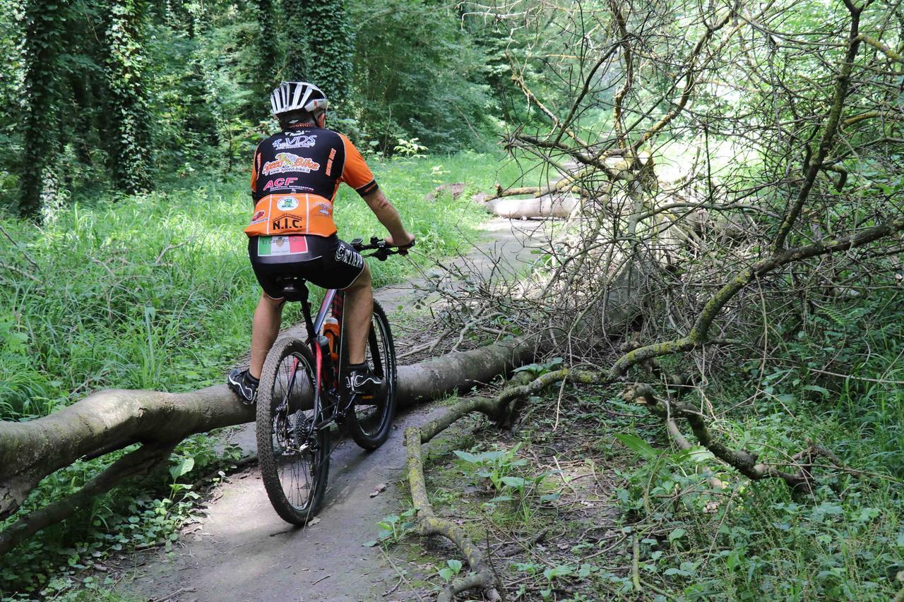 SERVIZIO SU DEGRADO E INCURIA NEL BOSCO DELLA PANFILIA LOCALITAâ SANTâAGOSTINO COMUNE DI TERRE DEL RENO: ALBERI CADUTI SUL SENTIERO
tronco d'albero ostacola il passaggio, cicloturista, ciclista 
SERVIZIO SU DEGRADO E INCURIA NEL BOSCO DELLA PANFILIA LOCALITA' sant' s.AGOSTINO COMUNE DI TERRE DEL RENO: ALBERI CADUTI SUL SENTIERO