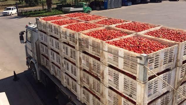 Il tir perde il carico: 18 tonnellate di pomodoro si rovesciano su un’auto