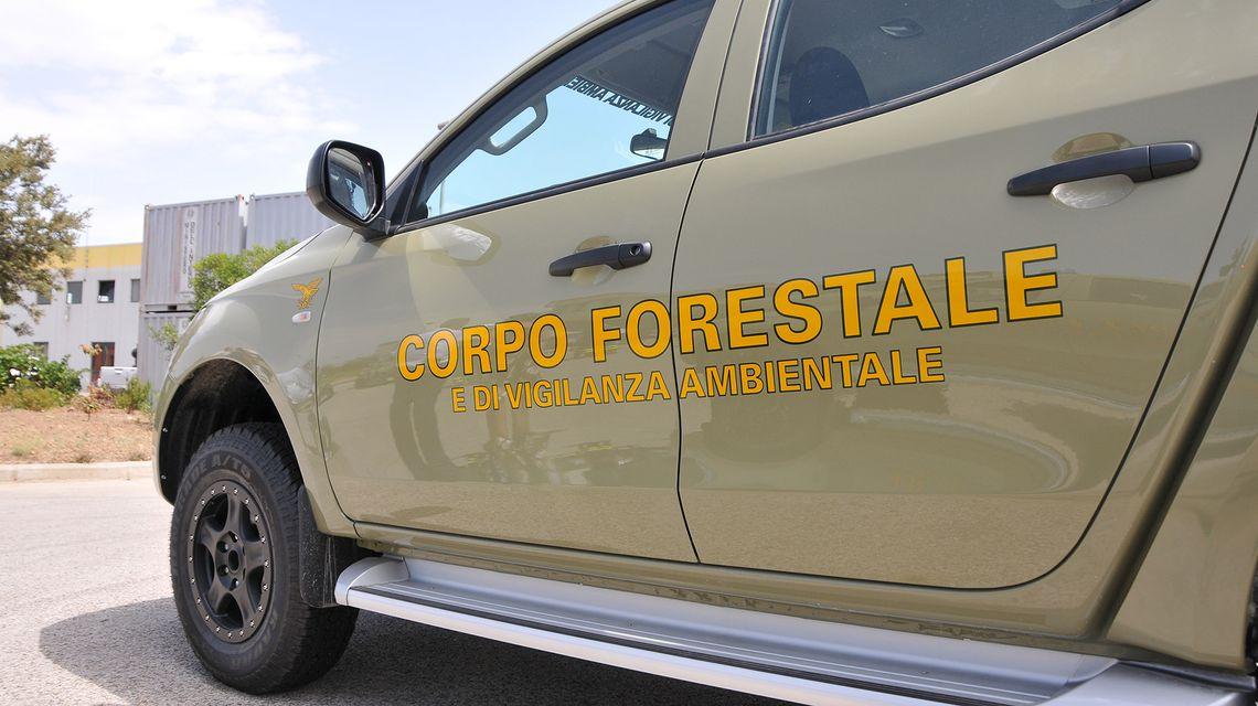 Bracconaggio, armi clandestine e spaccio di droga: 3 arresti e 20 indagati
