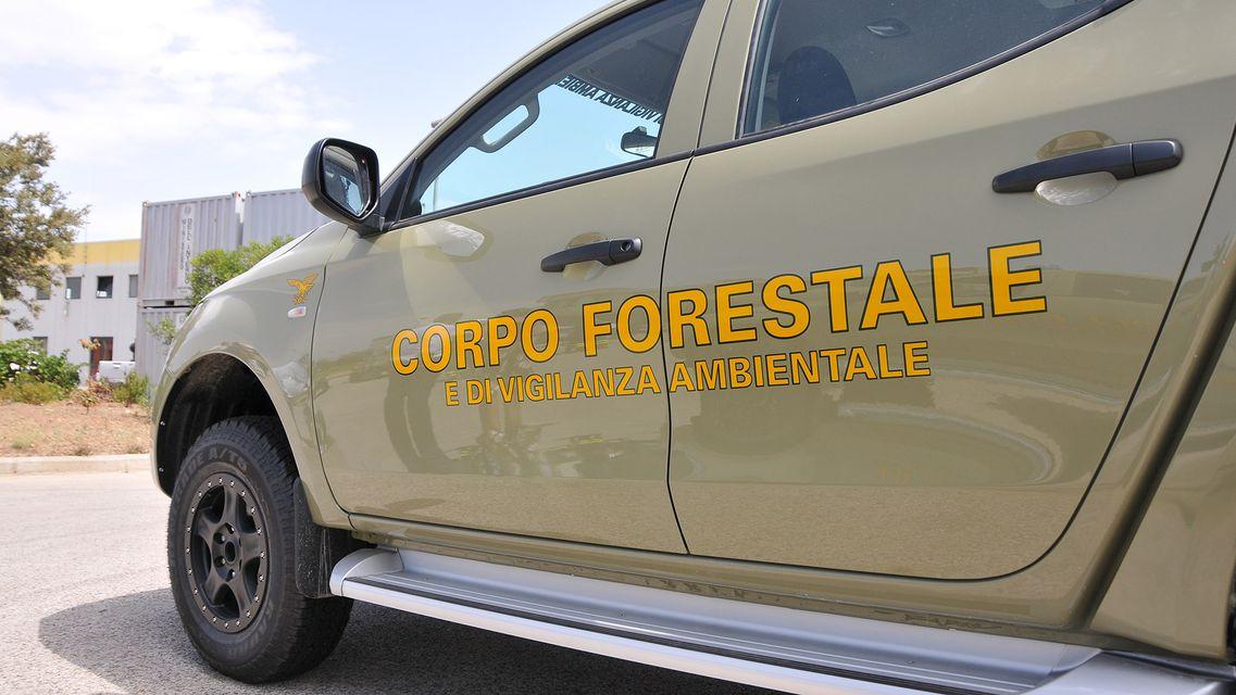 Bracconaggio, armi clandestine e spaccio di droga: 3 arresti e 20 indagati