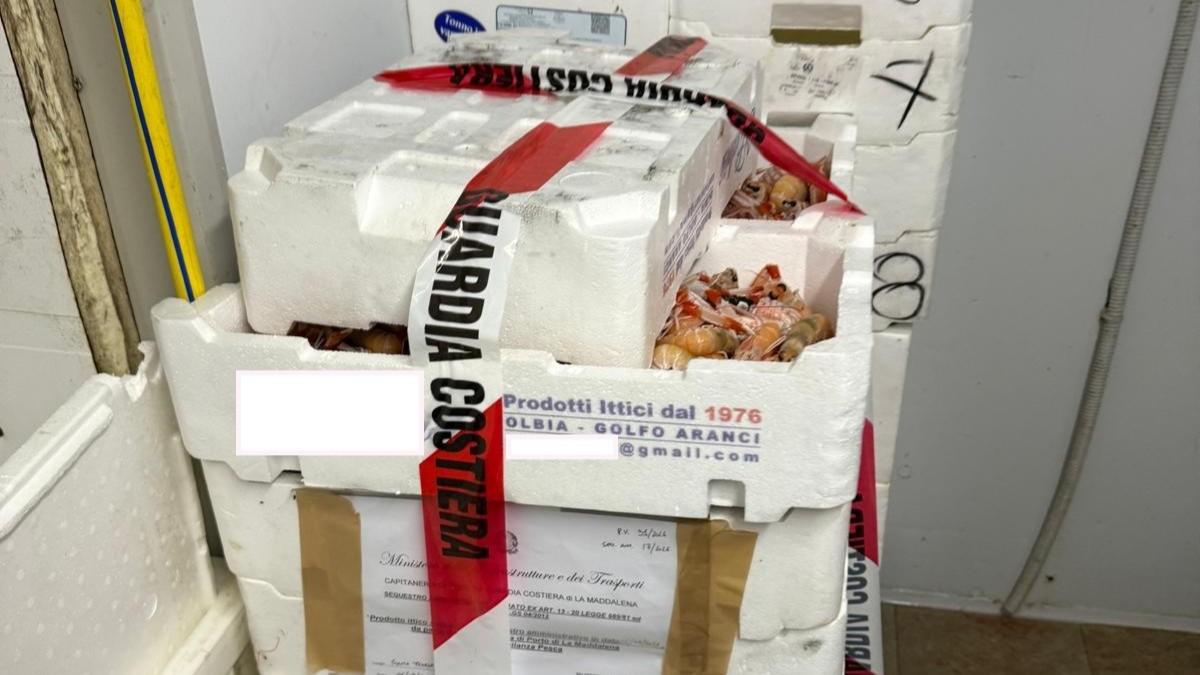 Guardia costiera, controlli sulla filiera ittica in Gallura: sequestrati 145 chili di pesce e sanzioni per 4mila euro