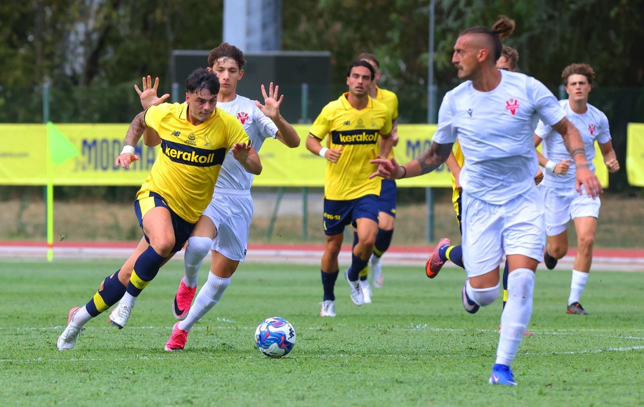 
	Sersanti (sullo sfondo) in azione nel test con la Vis Pesaro

