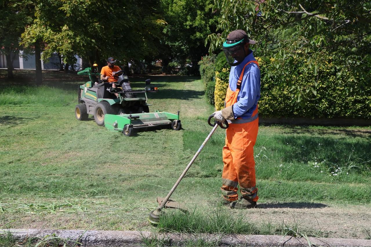 Ferrara, 530 alberi caduti e sfalci in ritardo: 27 squadre al lavoro