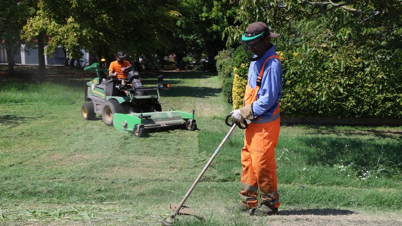 Ferrara, 530 alberi caduti e sfalci in ritardo: 27 squadre al lavoro