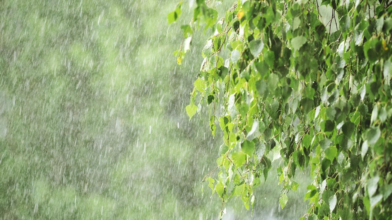 Temporali in arrivo 
