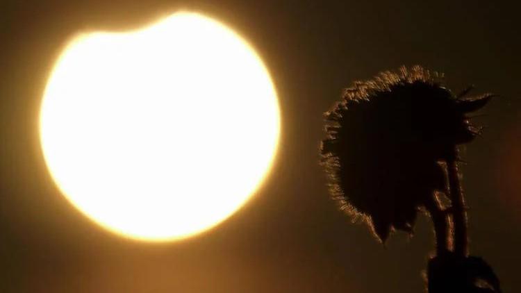 Eclissi del 12 agosto, è febbre da “sole nero”: boom di ricerche su Google – Tutte le curiosità