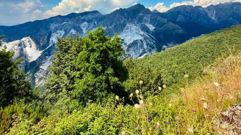 Uno scorcio della zona (foto da Facebook)