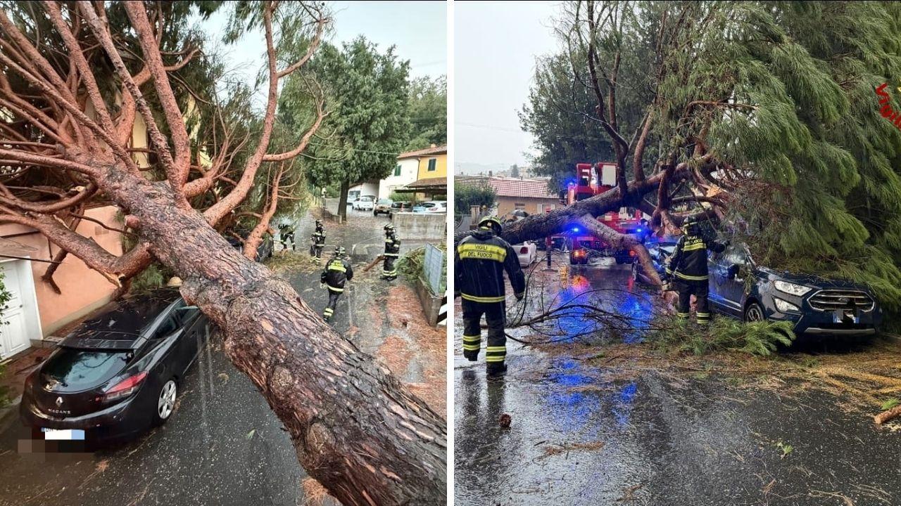 
	Alberi caduti nell'Empolese Valdelsa: decine di interventi dei vigili del fuoco

