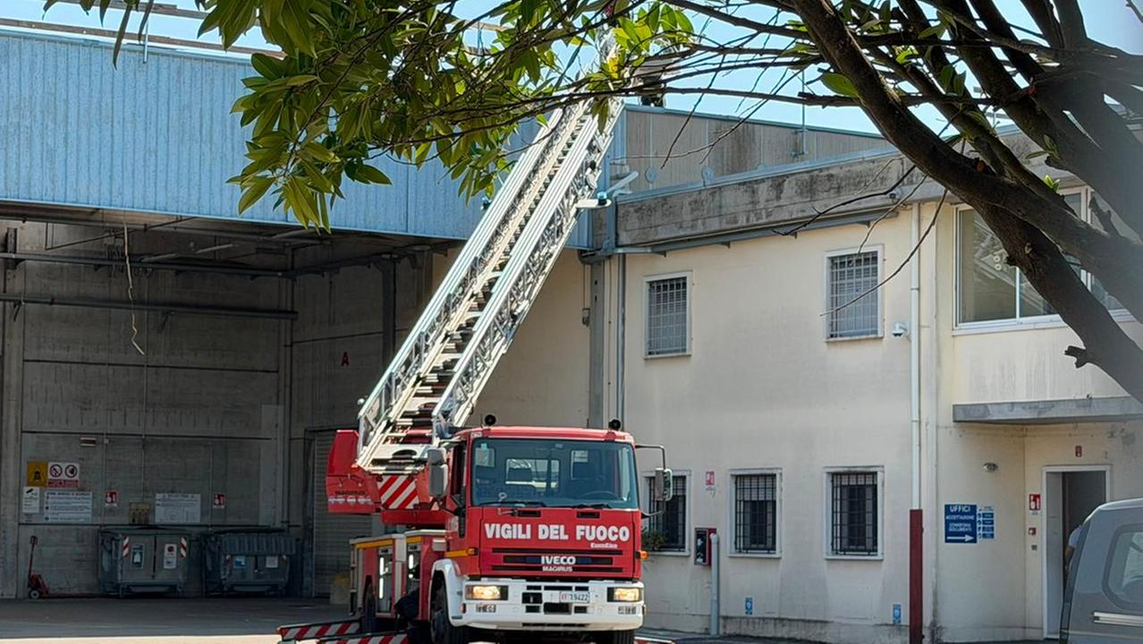 Ferrara, cade dal tetto di un capannone: ferito un 39enne