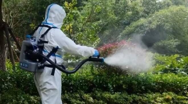 Caso di Dengue a Ferrara, dove si farà la disinfestazione straordinaria