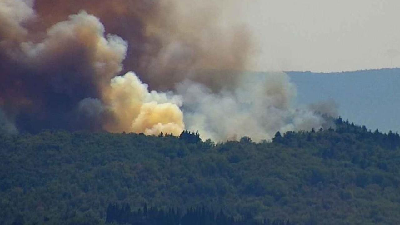 Maxi incendio nei boschi di San Donato: «Alto rischio propagazione» – Aerei e volontari sul posto / Aggiornamenti