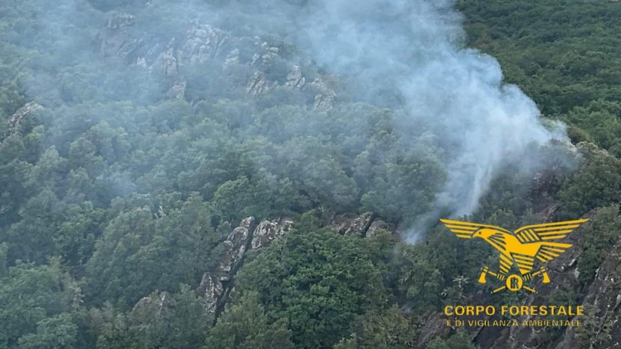Incendi in Sardegna, elicotteri in azione a Lei, Bortigiadas e Buddusò