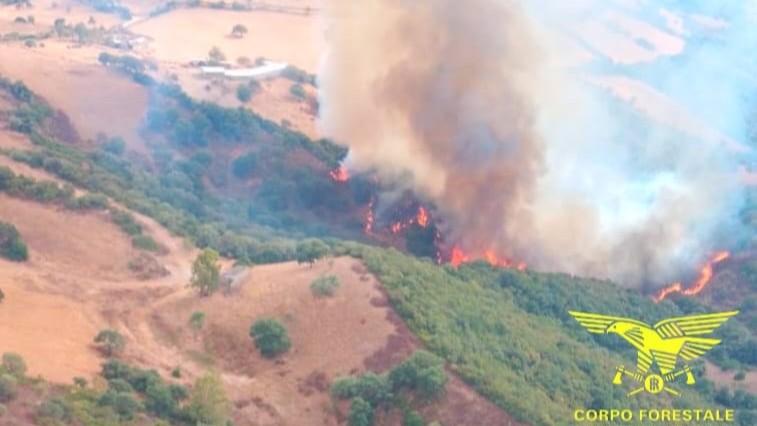 Incendi, sei fronti aperti in Sardegna: elicotteri, Super Puma e Canadair in azione