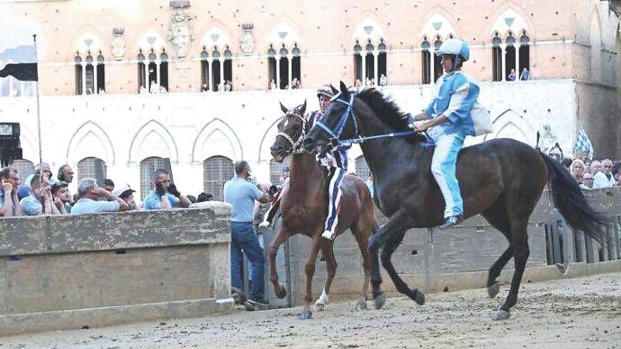 
	La vittoria dell'Onda nella prima prova&nbsp;

